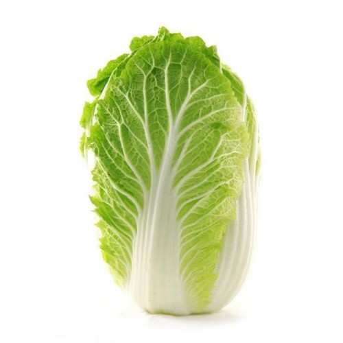 王菜